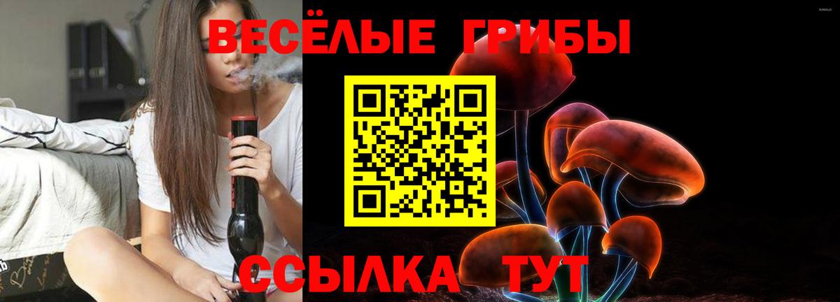 Псилоцибиновые грибы ЛСД  наркошоп  Крымск  Вход с VPN  Галлюциногенные грибы ЛСД 