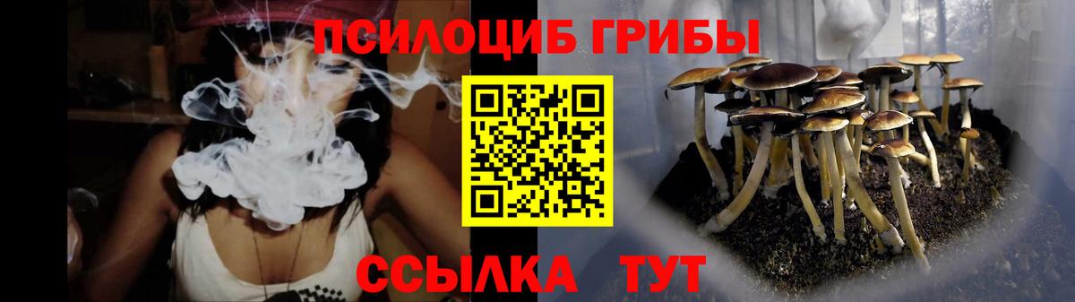 Галлюциногенные грибы GOLDEN TEACHER Крымск